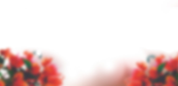 Blurry Flowers