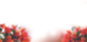 Blurry Flowers