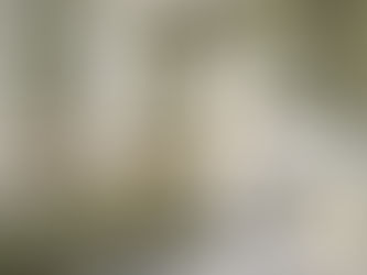 kitchen refresh ideas without full remodel updated cabinets countertops lighting