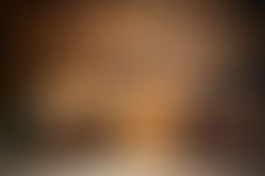 A festive wrapped gift box with a mosquito icon on the tag, placed beside a mug of hot cocoa and pine branches, symbolizing the gift of mosquito control for the holidays.