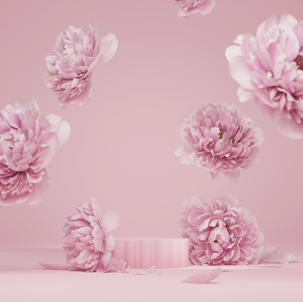 Peony Blossom