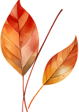 Kleurrijke herfstbladeren