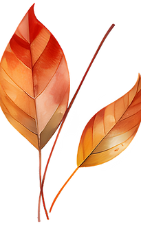 Colorful Autumn Leaves