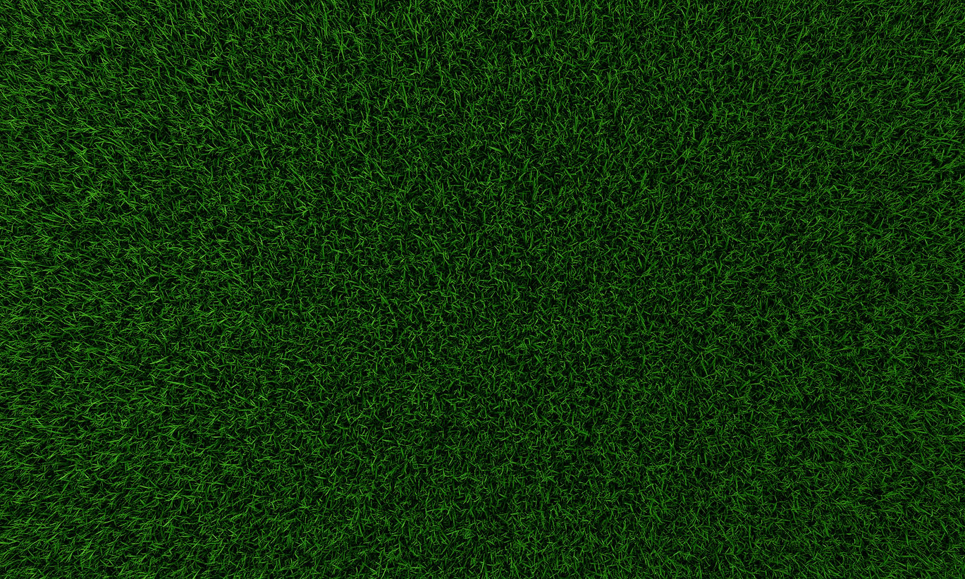 Grass Texture