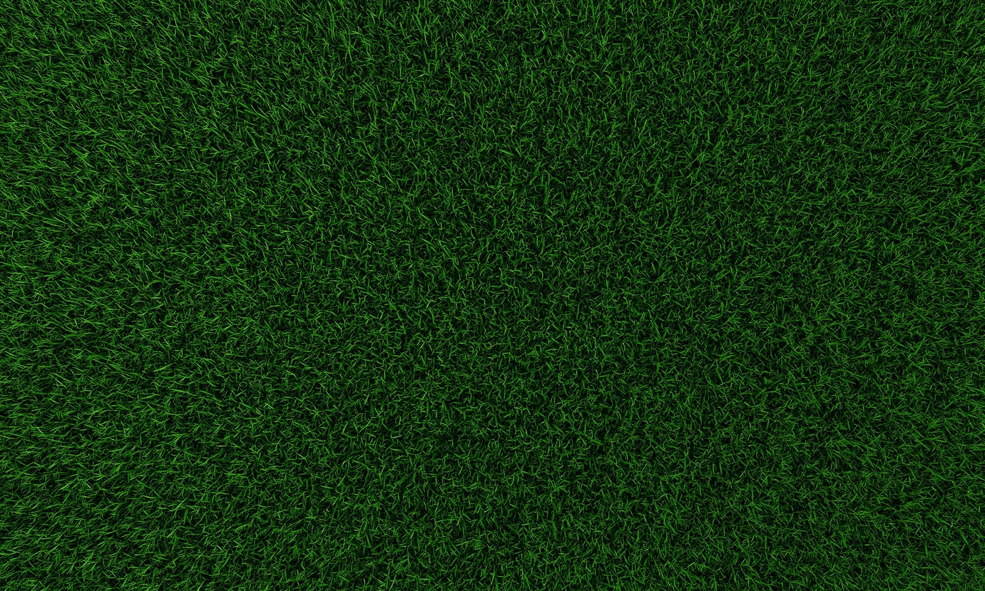 Grass Texture
