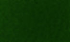 Grass Texture