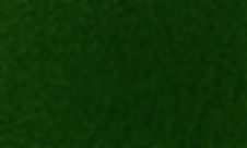 Grass Texture