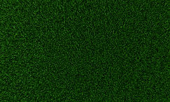 Grass Texture