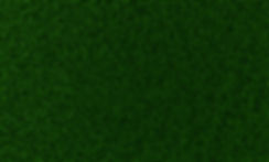 Grass Texture