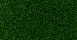 How To Keep Your Yard Green