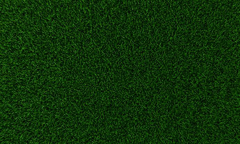 Grass Texture background