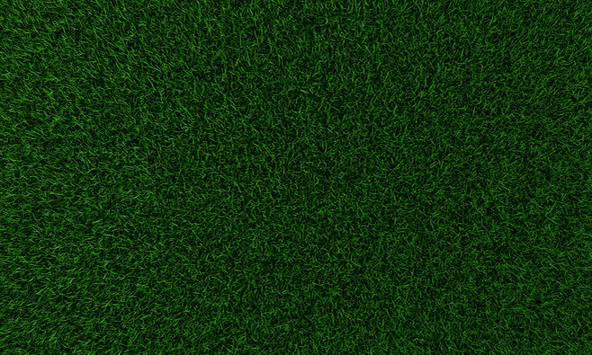 Grass Texture