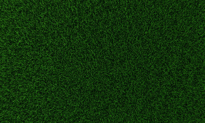 Synthethic Turf Solutions Testimonials