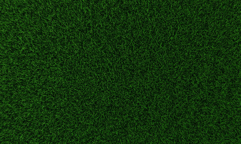 Gras-Textur