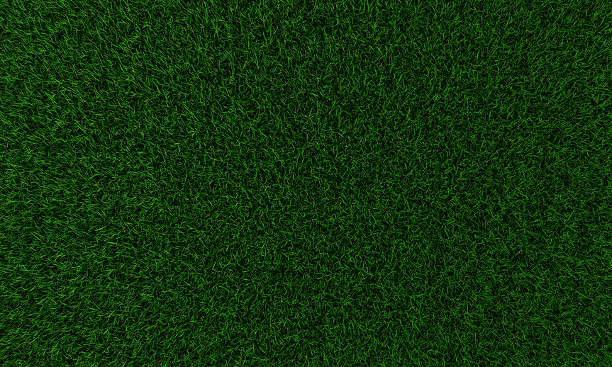 Grass Texture
