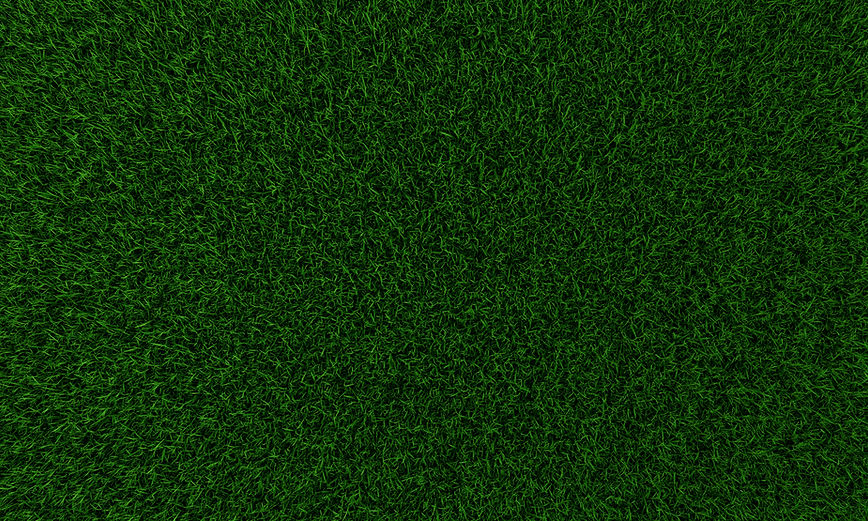 Green Grass Texture