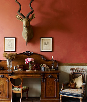 elegant furniture in drawing room