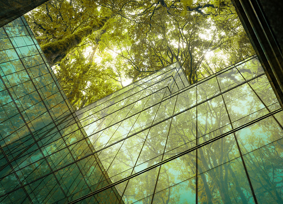 Glass Building Forest Reflection