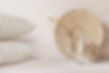 Beige decoration