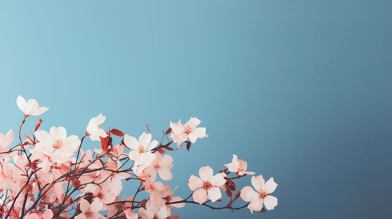 Zweig mit rosa Blüten