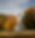 Church in Fall
