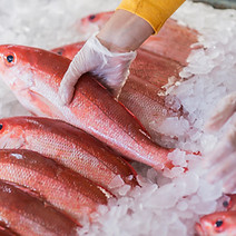 Fish Market