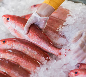 Fish Market