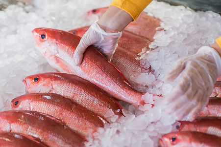 PescaderÃa