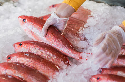 Fish Market