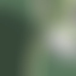 Illustration af en arbejdssituation - bærbar, kaffe, taske, notesblok