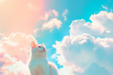 Cat in Dreamy Clouds
