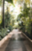 Botanical Garden