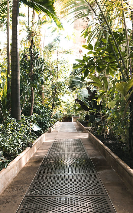 Botanical Garden