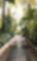 Botanical Garden - Verdure Studio - Indoor Plant Design for Home and Office - Succulent Workshops and Classes - Boston, MA