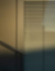 Window Blinds