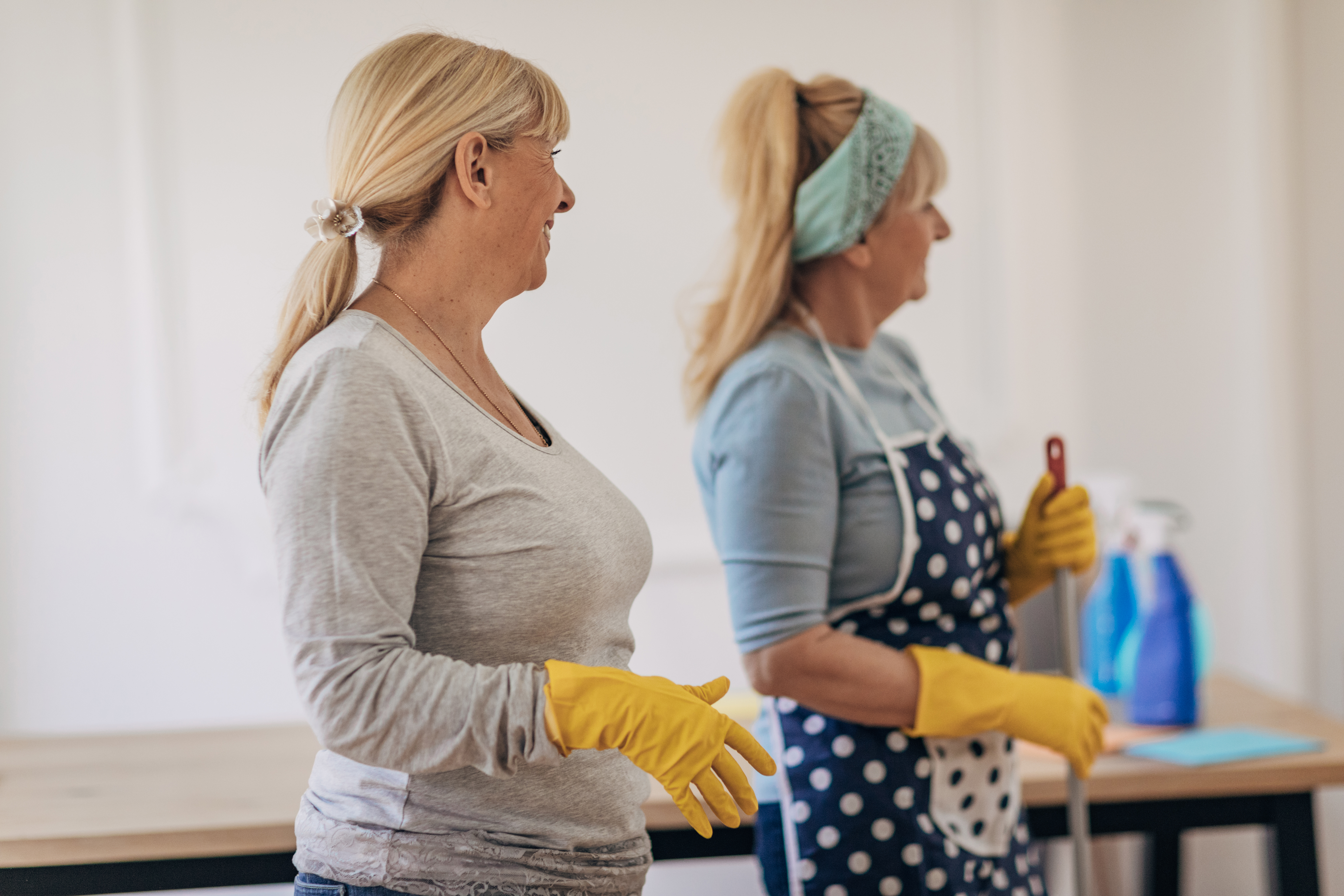 Women Cleaning Together