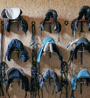Saddles