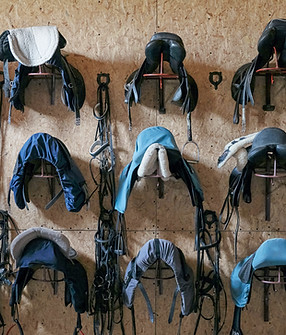 Horse Saddles Display