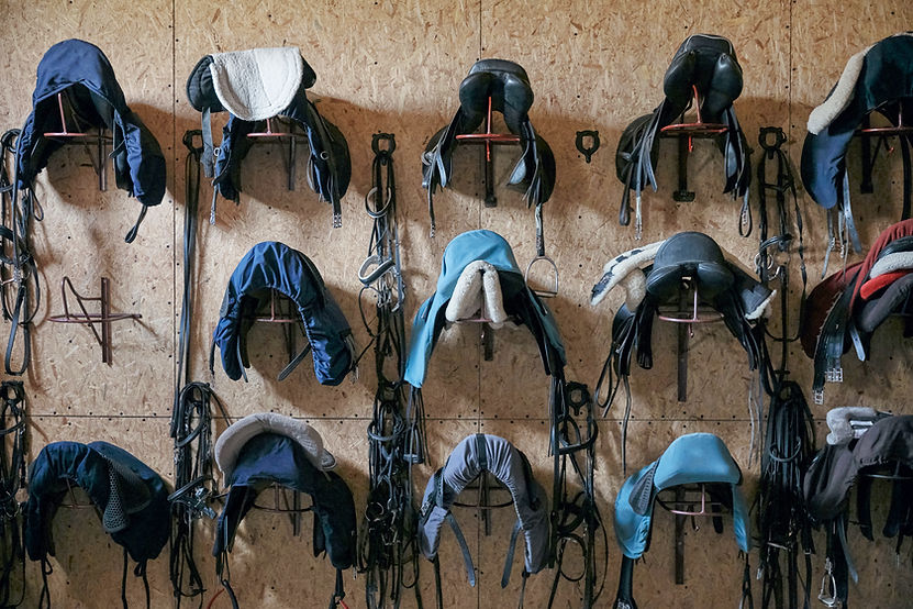 Saddles