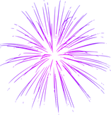 Purple Firework Illustration