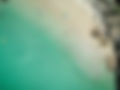 Beautiful Ocean