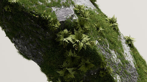 Mossy Rock Surface
