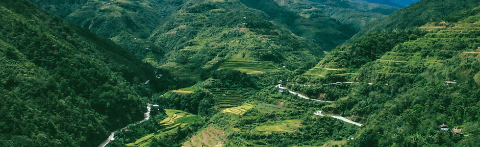 Rice Terraces
