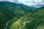 Rice Terraces