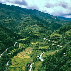 Rice Terraces