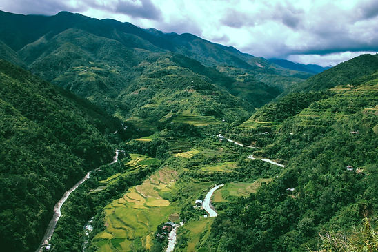 Rice Terraces