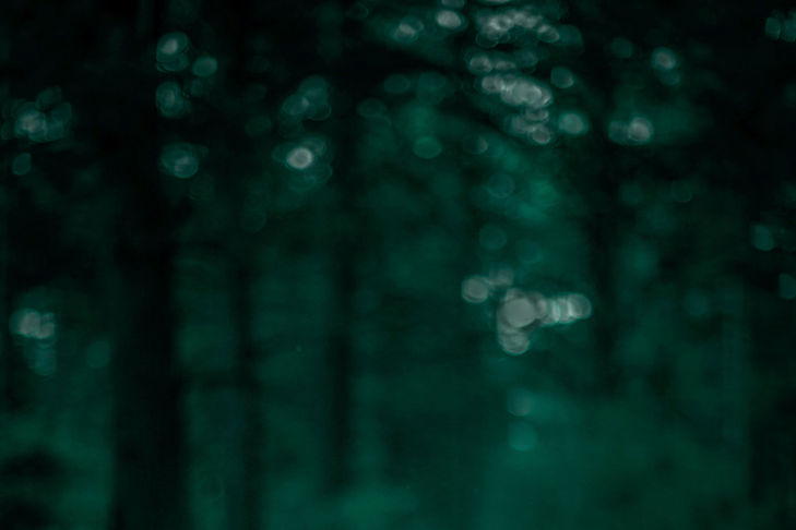 Blurred Forest View