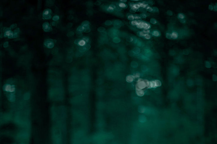 Verschwommener Wald