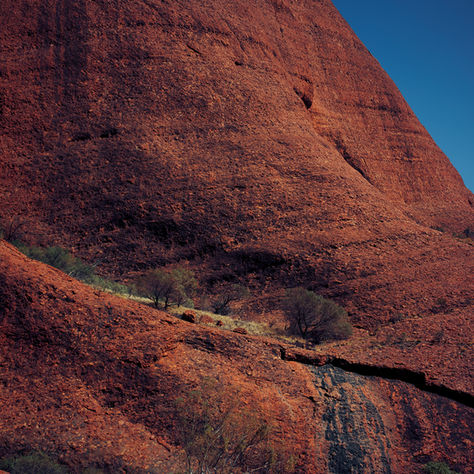 The New Frontier: Why Australian Healthcare Needs a Different Kind of Marketing Agency