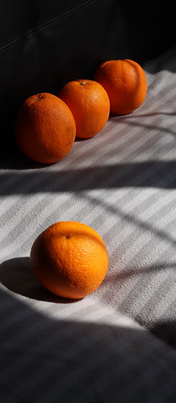 Citrus fruit in the sunlight